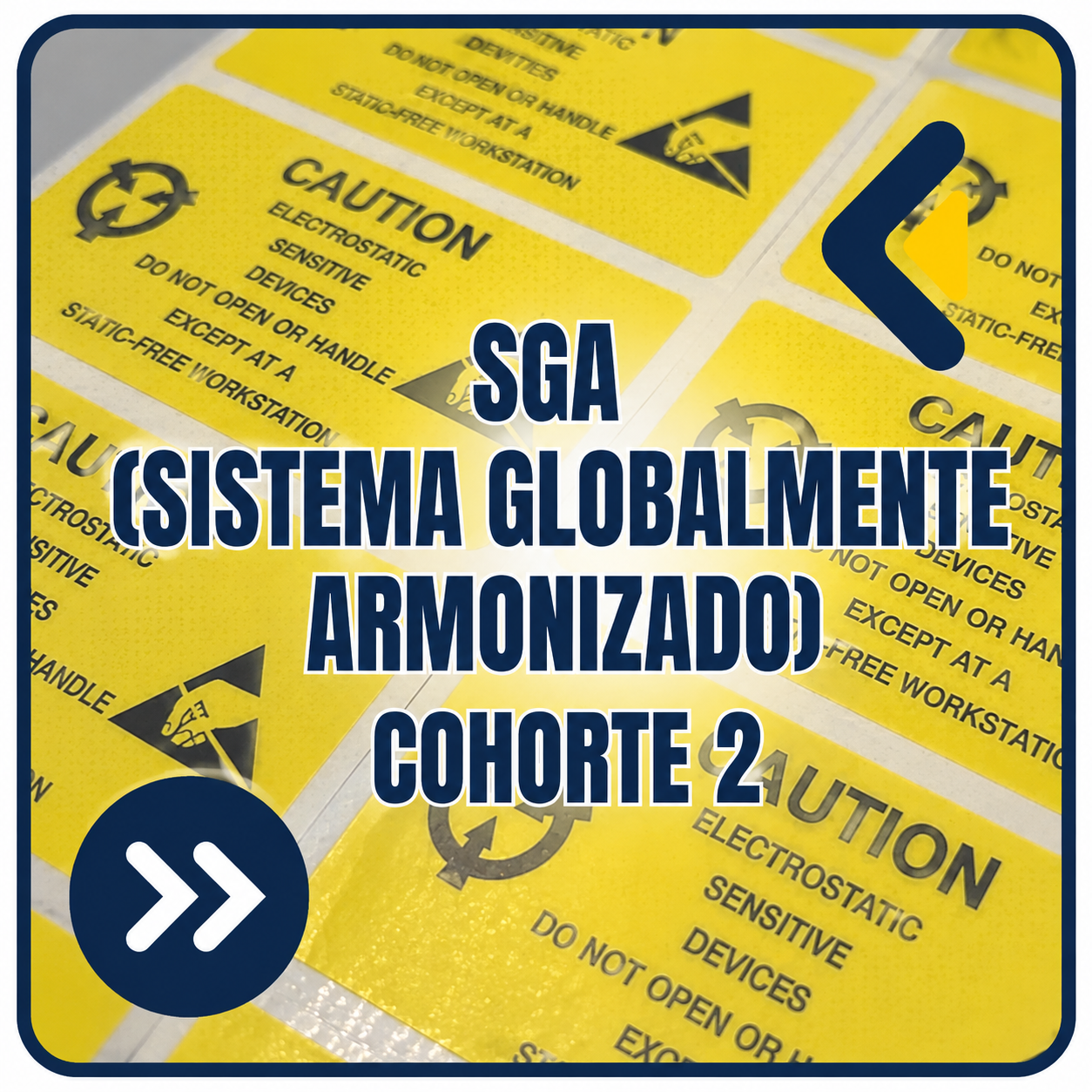 SGA (SISTEMA GLOBALMENTE ARMONIZADO) COHORTE 2